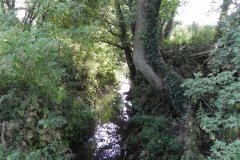 22.-Looking-Downstream-from-Worthy-Farm-Accomodation-Bridge-B