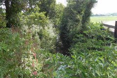 25.-Looking-downstream-from-Worthy-Farm-Accomodation-Bridge-C