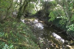 26.-River-View-downstream-from-Worthy-Farm-Accomodation-Bridge-C