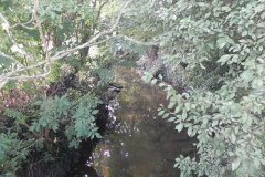 27.-Looking-upstream-from-Festival-Bridge-C