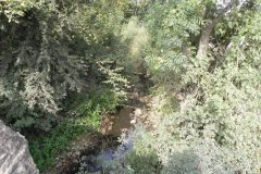42-Looking-downstream-from-Worthy-Farm-Accomodation-Bridge-D