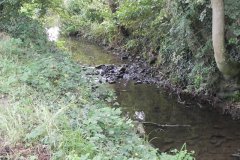 43.-River-downstream-from-Worthy-Farm-Accomodation-Bridge-D