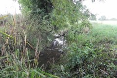 44.-River-downstream-from-Worthy-Farm-Accomodation-Bridge-D