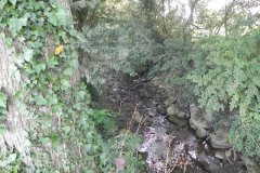 45.-River-downstream-from-Worthy-Farm-Accomodation-Bridge-D