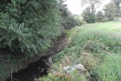 46.-River-downstream-from-Worthy-Farm-Accomodation-Bridge-D
