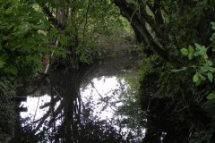 5.-Looking-Downstream-from-Bellas-Field-Footbridge