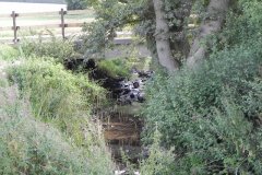 52.-Festival-Bridge-E-downstream-Face