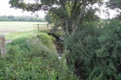 53.-Looking-upstream-from-Festival-Bridge-F
