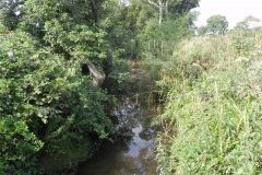 56.-Looking-downstream-from-Festival-Bridge-F