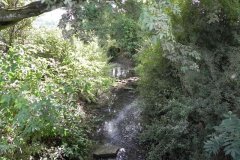 57.-Looking-upstream-from-Steanbow-Park-Bridge