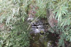 67.-Looking-upstream-from-Festival-Bridge-G
