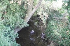 76.-Looking-downstream-from-ROW-Footbridge-4427