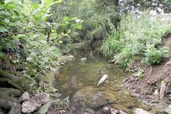 82A.-Looking-downstream-from-Festival-Bridge-I