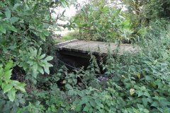 84.-Festival-Bridge-J-Downstream-Side