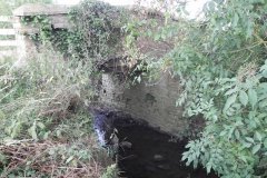 90.-Steanbow-Farm-Bridge-Upstream-arch
