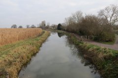 12.-Looking-downstream-from-Foxhole-Swing-Bridge