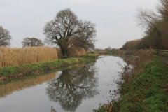 19.-Upstream-from-Foxhole-Swing-Bridge-1