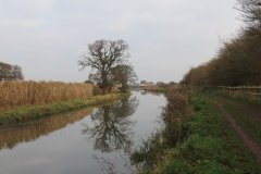 19.-Upstream-from-Foxhole-Swing-Bridge-4