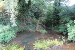 7a.-Downstream-from-Blagdon-Lake-12