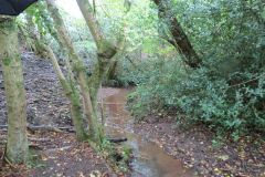 7a.-Downstream-from-Blagdon-Lake-8