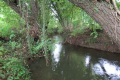 7f.-Upstream-from-Emley-Lane-bridge-1