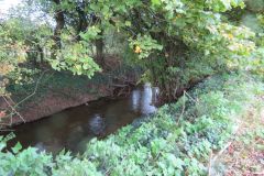 7f.-Upstream-from-Emley-Lane-bridge-12