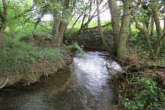 7f.-Upstream-from-Emley-Lane-bridge-14