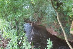 7f.-Upstream-from-Emley-Lane-bridge-15