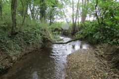 7f.-Upstream-from-Emley-Lane-bridge-18