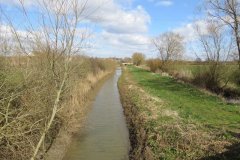 15.-Looking-upstream-from-Knighton-Drove-Bridge