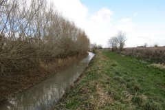 8.-Downstream-from-Knighton-Drove-Bridge