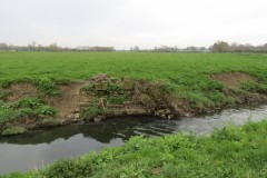 12-Remains-of-sluice-downstream-from-Hambridge-mill-weir