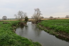 13.-Looking-upstream-to-Hambridge-Mill-weir