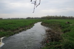 14.-Looking-downstream-from-Hambridge-Mill-weir