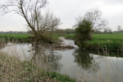 16.-Hambridge-Mill-Weir-with-leat-running-to-the-left