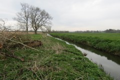 17.-Hambridge-Mill-Leat-from-Mill-Weir