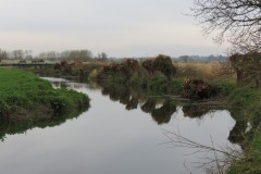 19.-Upstream-from-Hambridge-Mill-weir-4