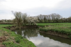 3.-Upstream-from-Hambridge-13