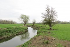 3.-Upstream-from-Hambridge-2
