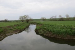 3.-Upstream-from-Hambridge-5