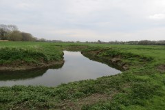 3.-Upstream-from-Hambridge-6