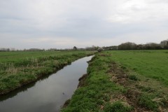 3.-Upstream-from-Hambridge-8