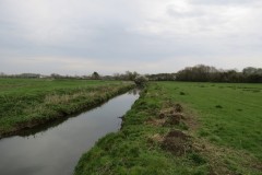 3.-Upstream-from-Hambridge-9