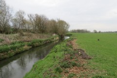 4.-Downstream-from-Earnshill-Park-Accommodation-Bridge-10