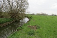 4.-Downstream-from-Earnshill-Park-Accommodation-Bridge-13