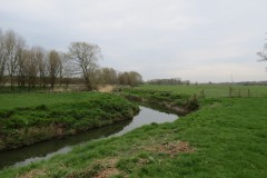 4.-Downstream-from-Earnshill-Park-Accommodation-Bridge-6