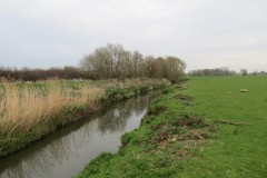 4.-Downstream-from-Earnshill-Park-Accommodation-Bridge-9