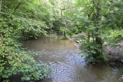 1.-Looking-upstream-from-Footbridge-upstream-from-Egford-Brook
