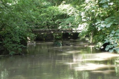 15.-Looking-upstream-to-ROW-Bridge-1298