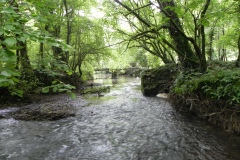 2.-Looking-downstream-from-Footbridge-upstream-from-Egford-Brook